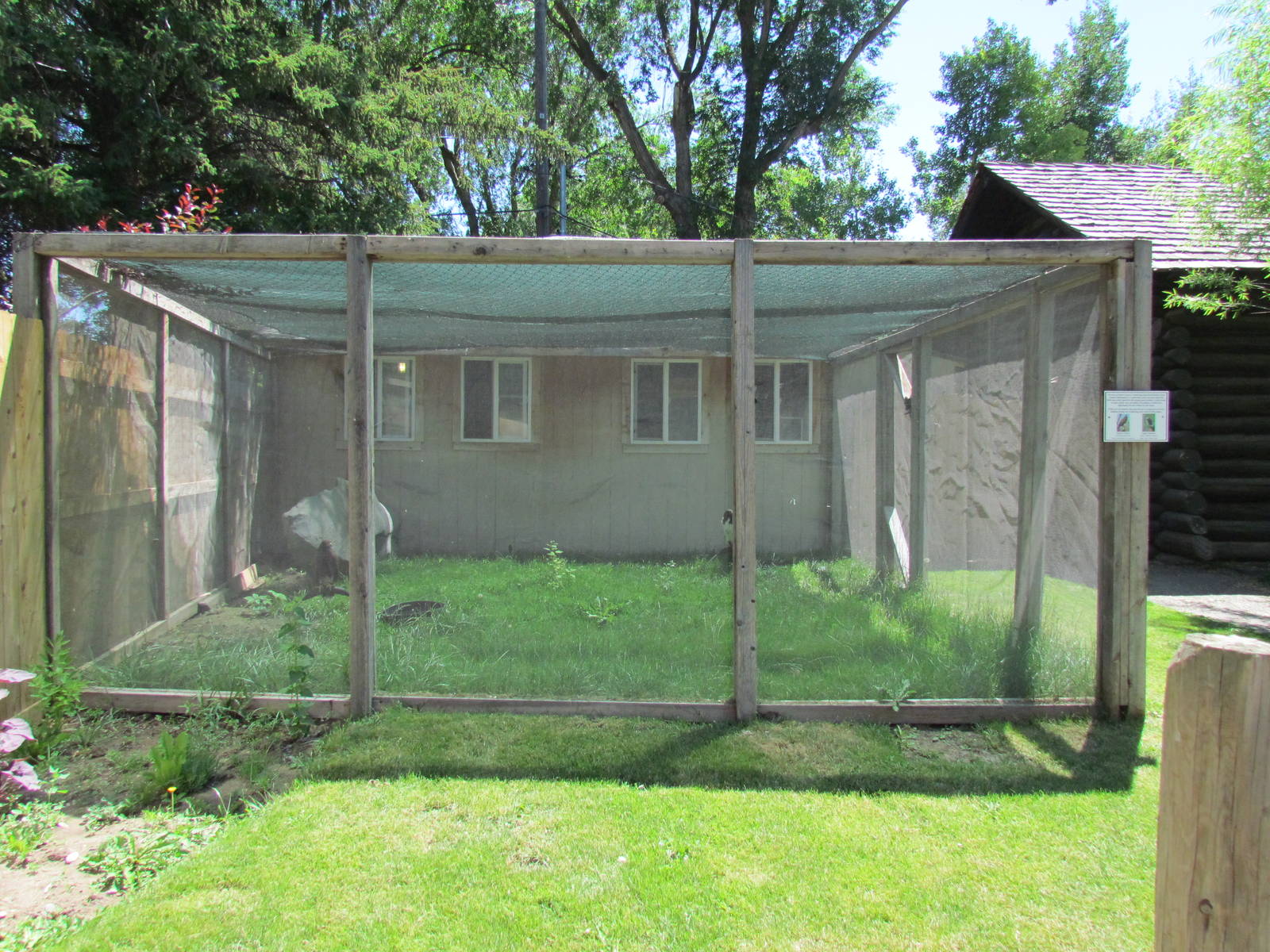 Education Raptor Mews