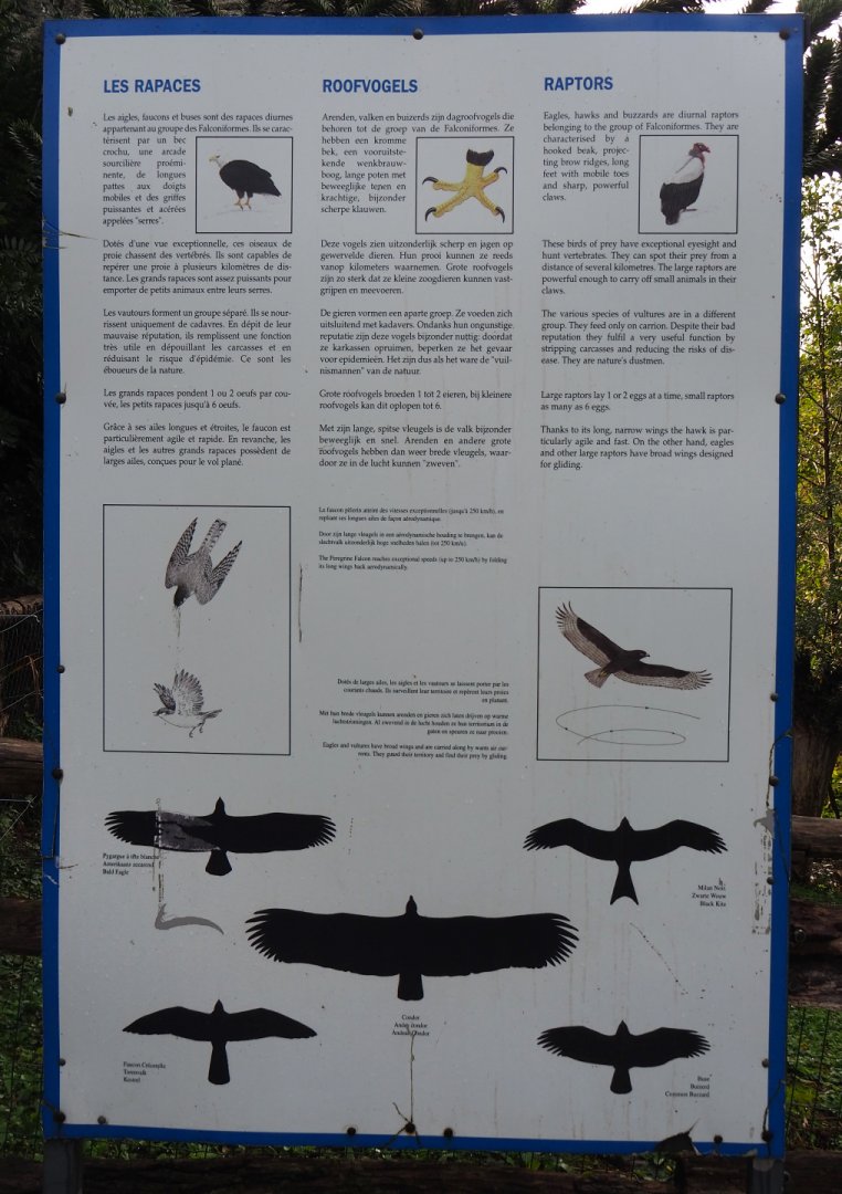 Education sign about raptors, 2019-10-04