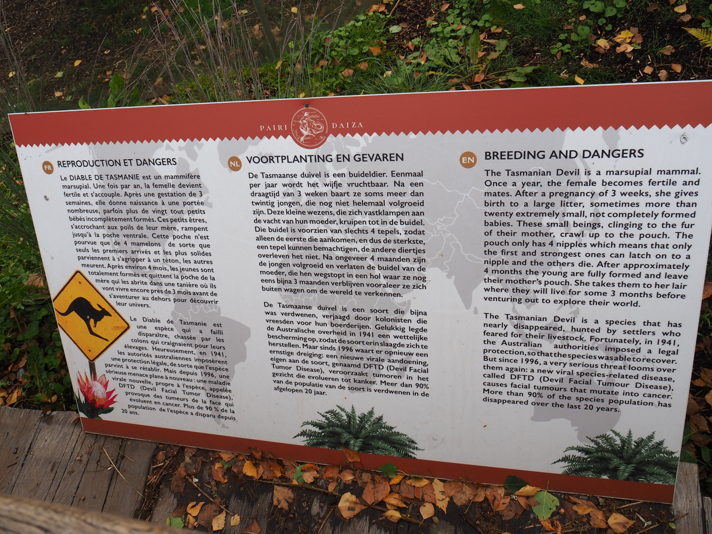 Education sign about Tasmian devil reproduction and Devil Facial Tumor Disease, 2019-10-04