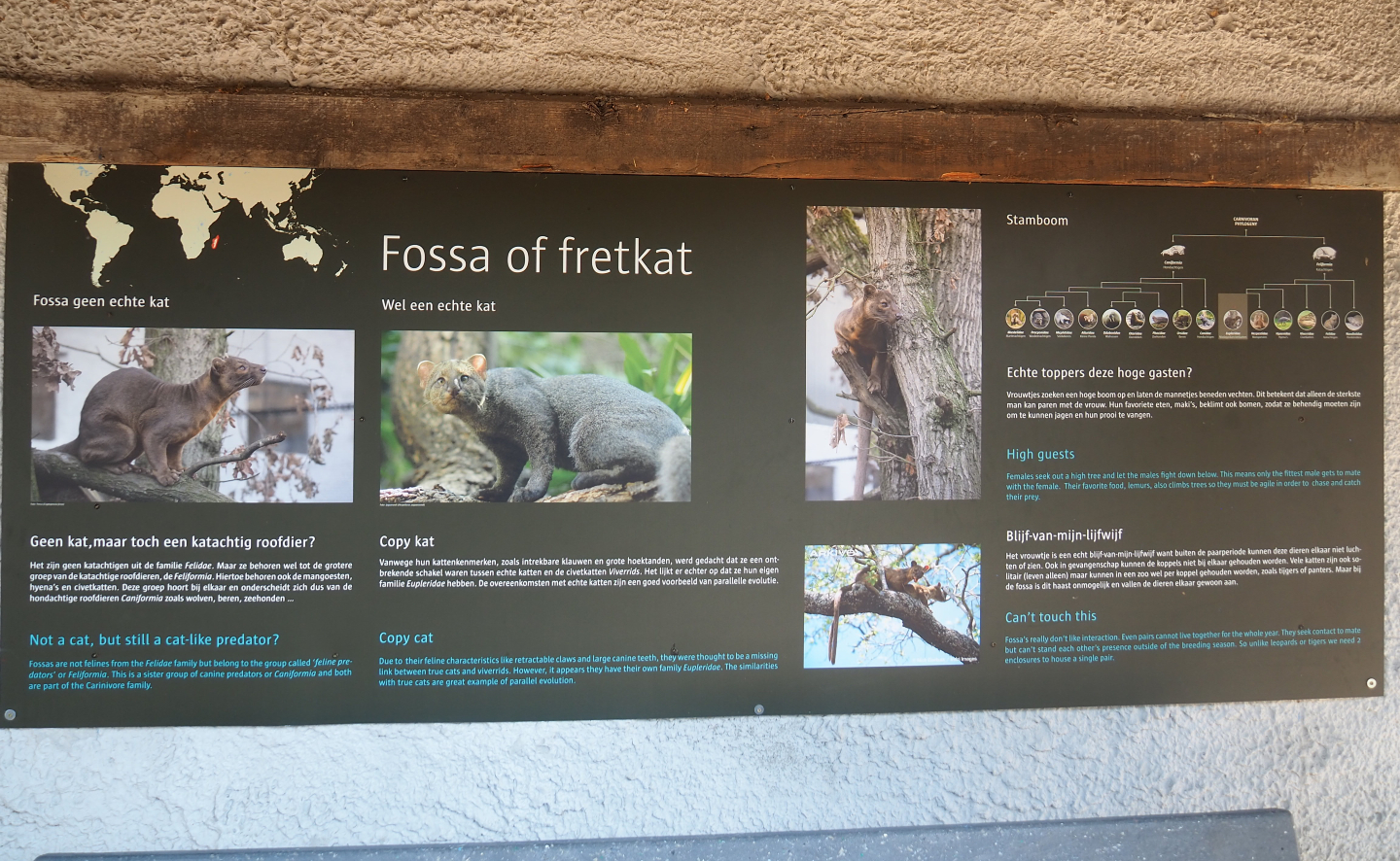 Education sign about the fossa, 2019-08-04