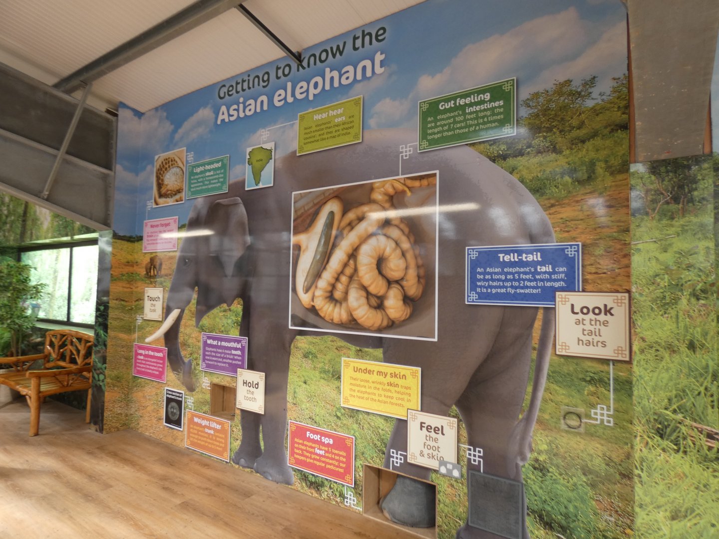 Education signage in 'Elephant Basecamp'