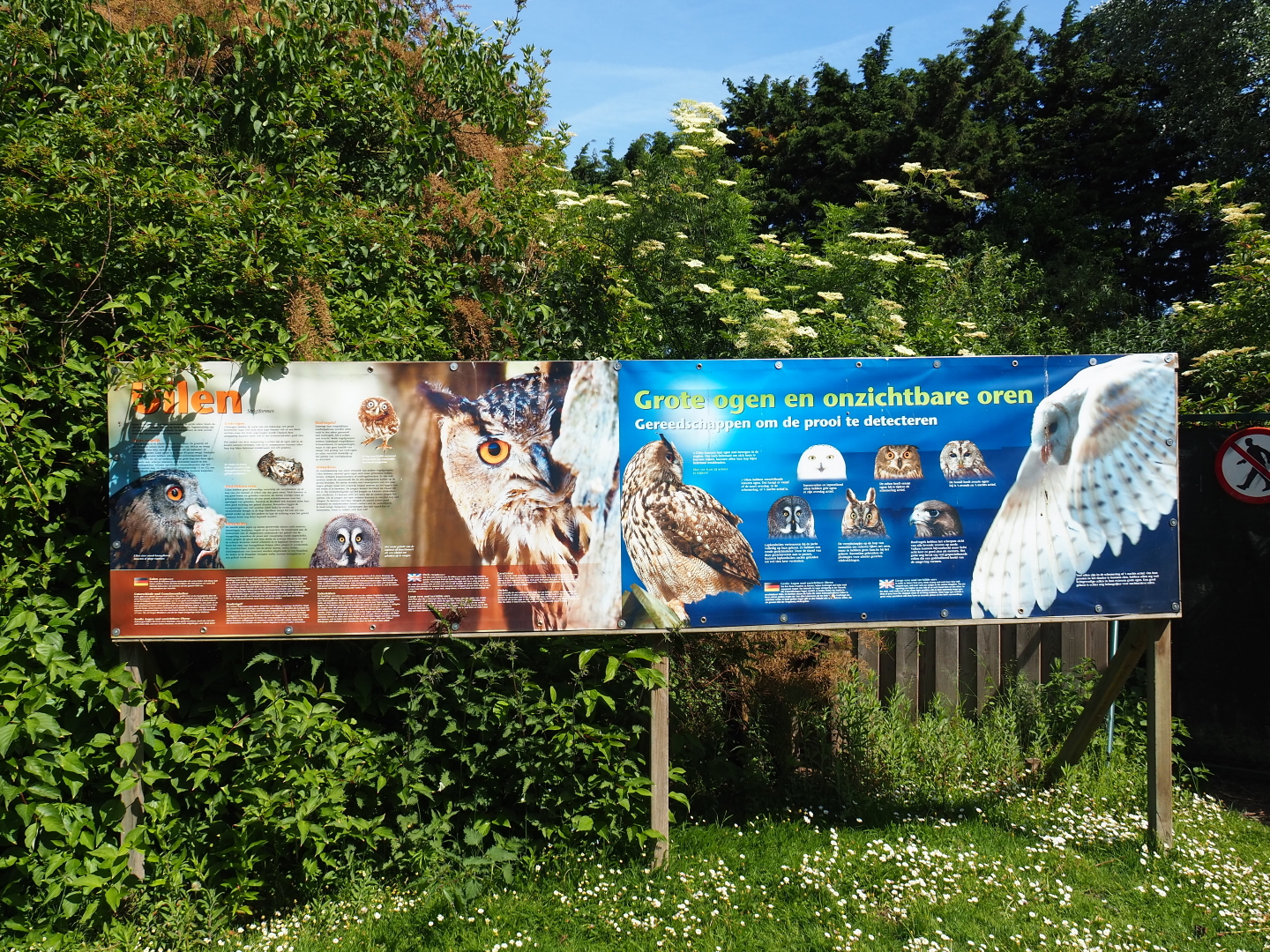 Education signs about owls, 2019-06-01