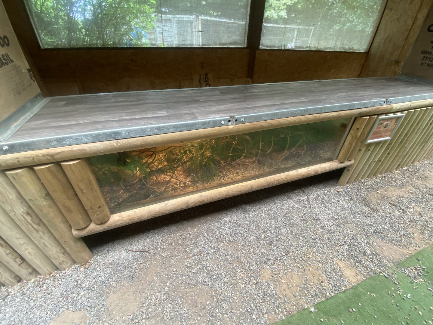 Education Station - Eurasian harvest mouse exhibit 060625