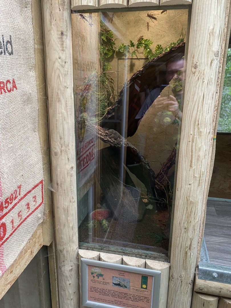 Education Station - Locust exhibit 060625