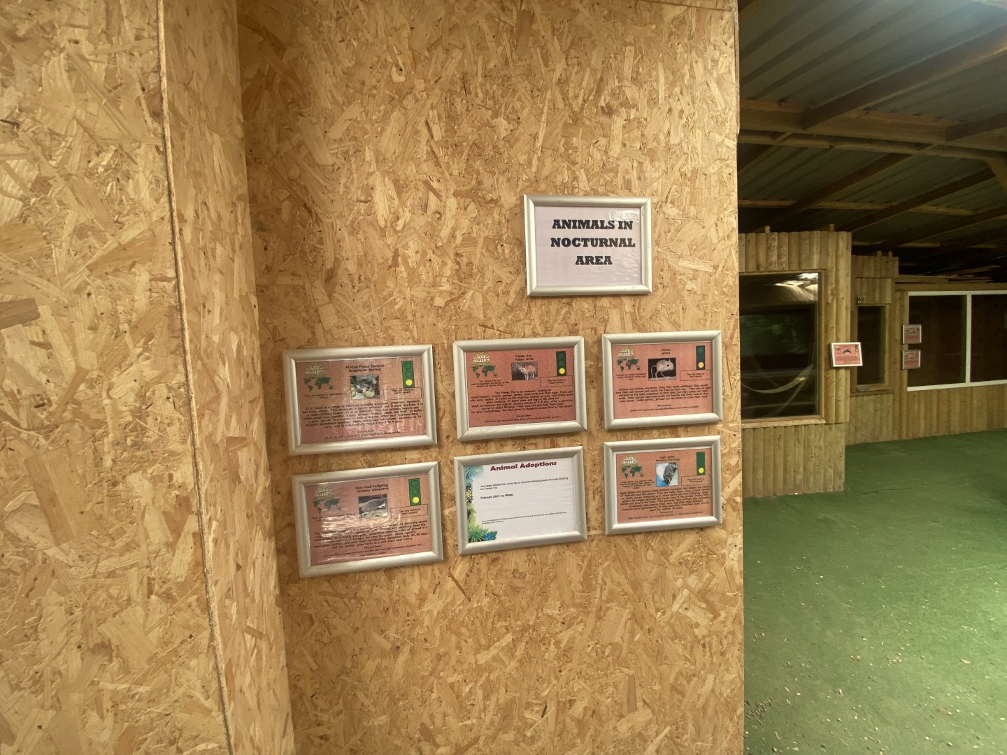 Education Station - signage for Nocturnal Area inhabitants 060625