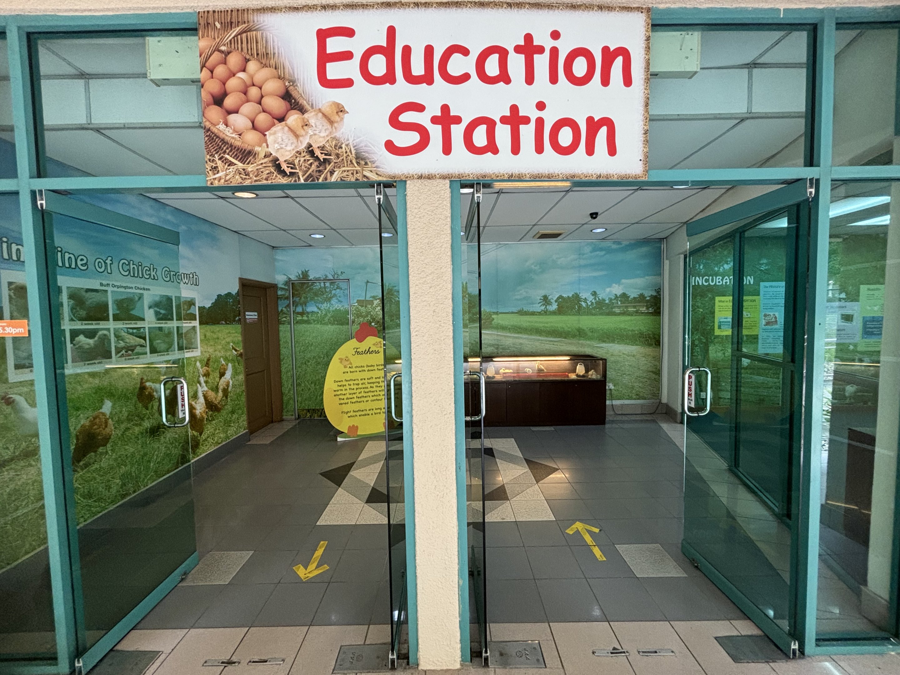 Education Station