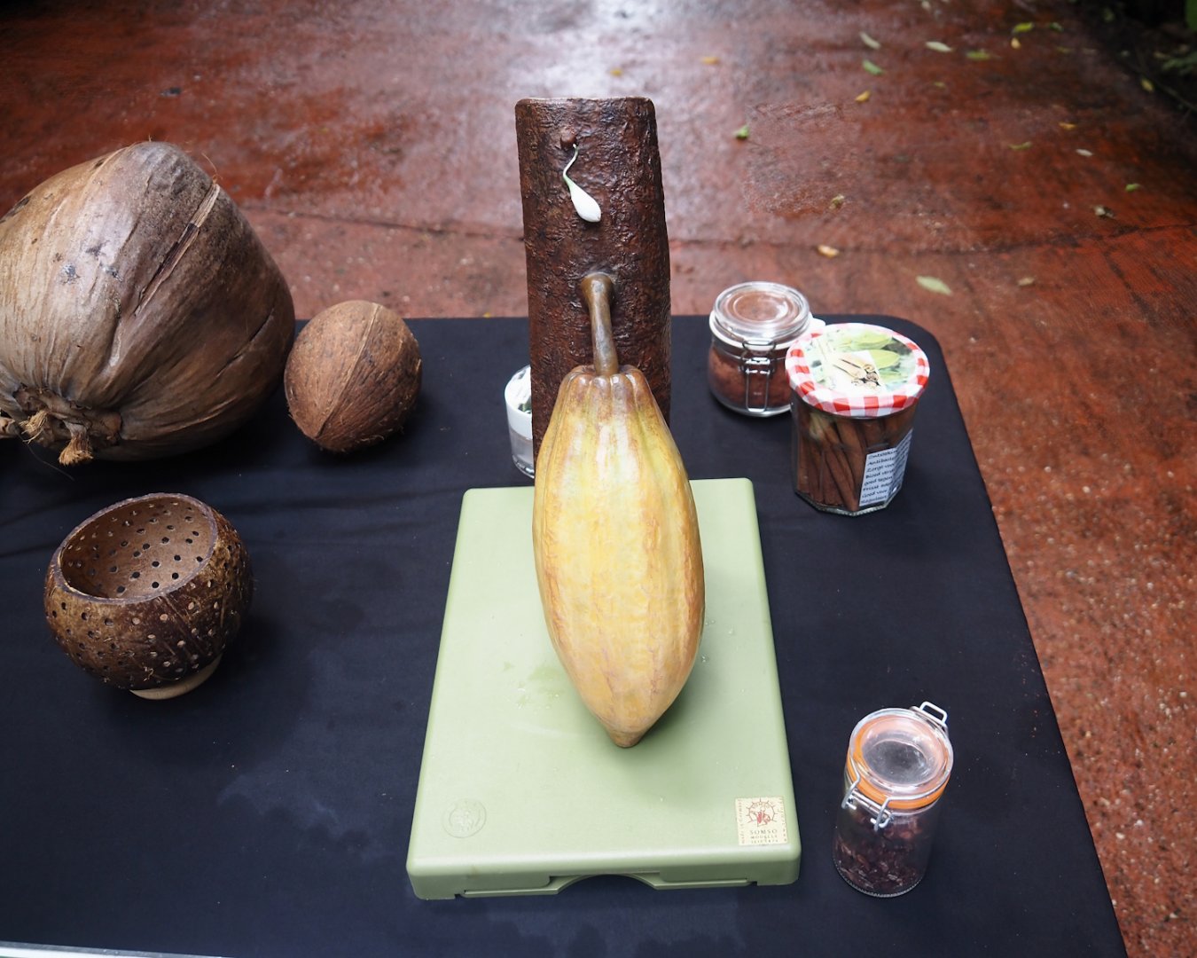 Education table with volunteers in the Bush - Cacoa pod model and rainforest products, 2025-05-17