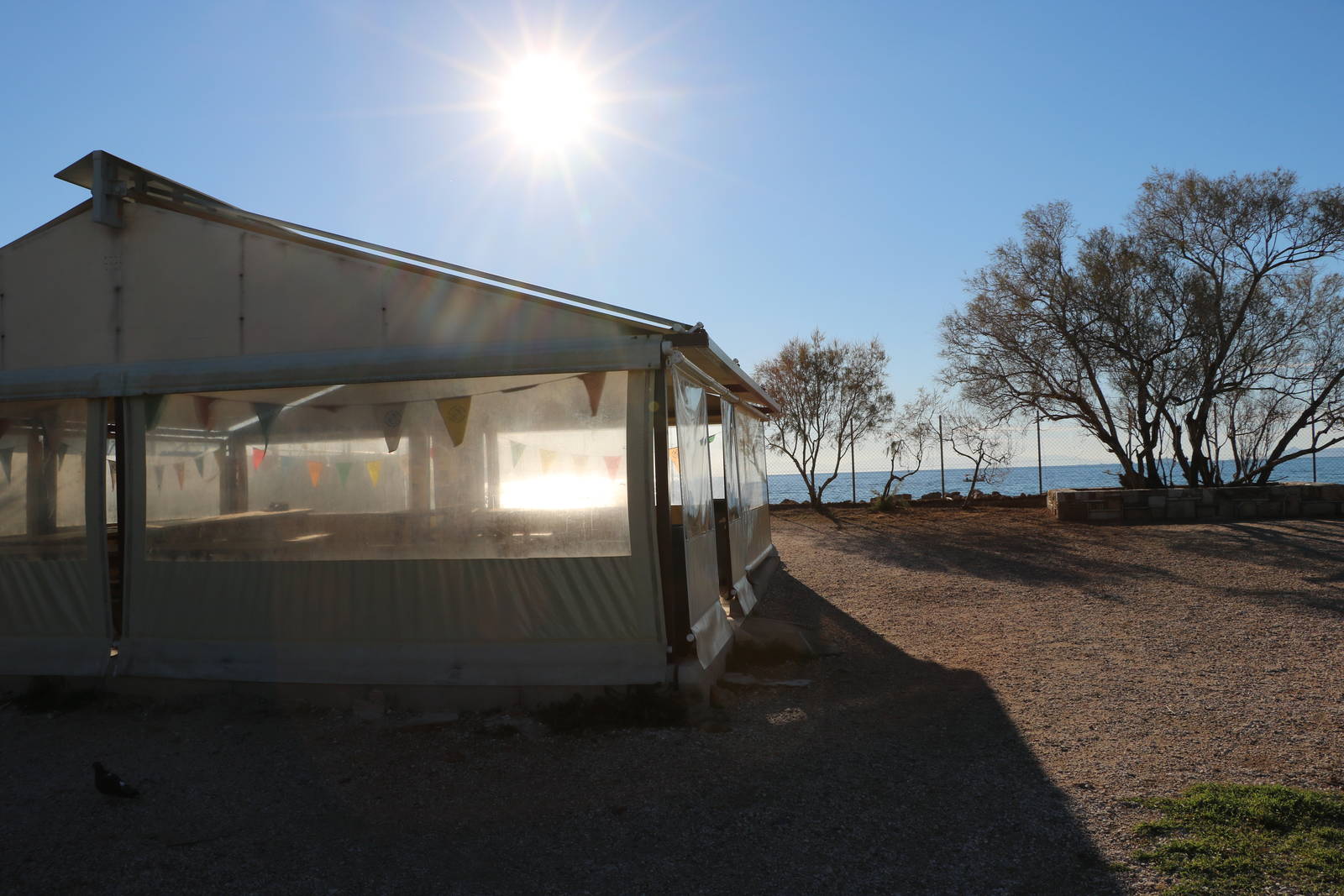 Education tent - Sea Turtle Rescue Centre, February 2016