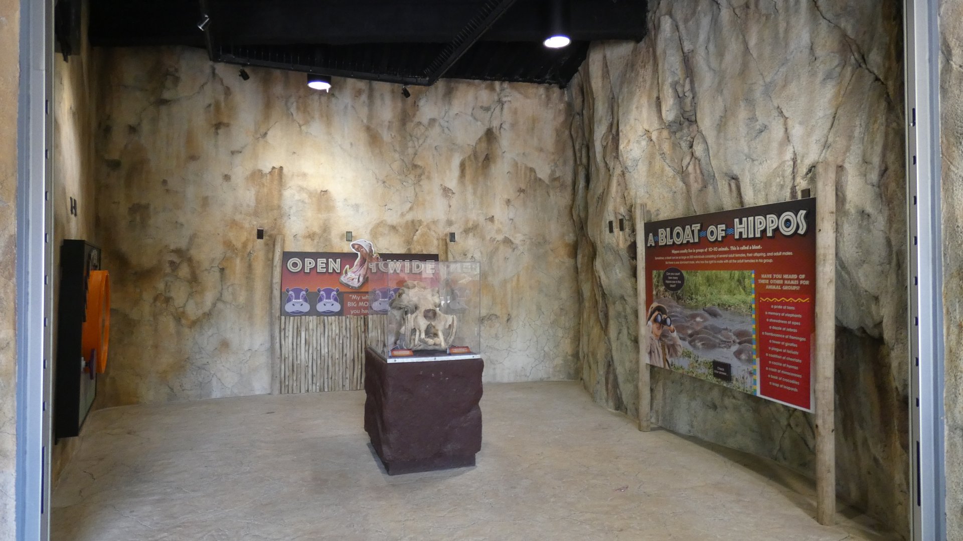 Educational Area, Hippo Haven - Aug. 2021