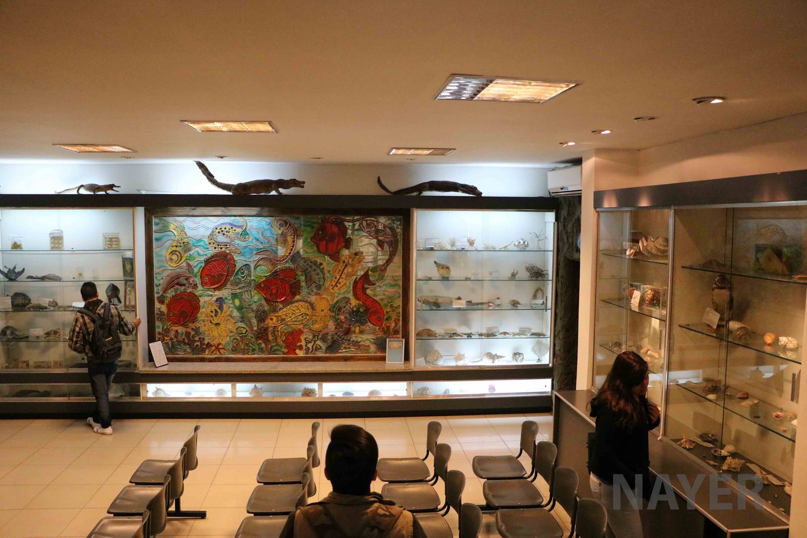 Educational atrium - Mendoza Aquarium, April 2016