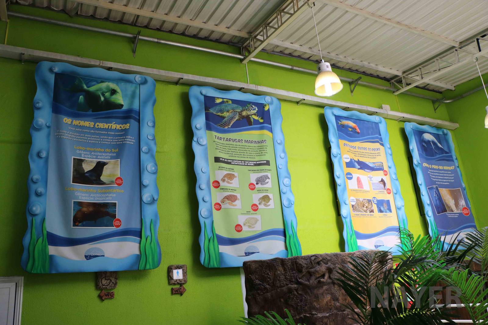 Educational banners, April 2016