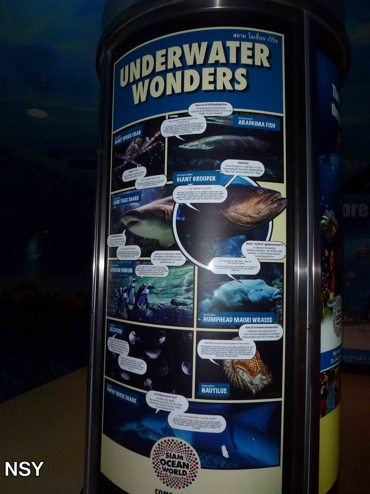 Educational comic strip, June 2013.