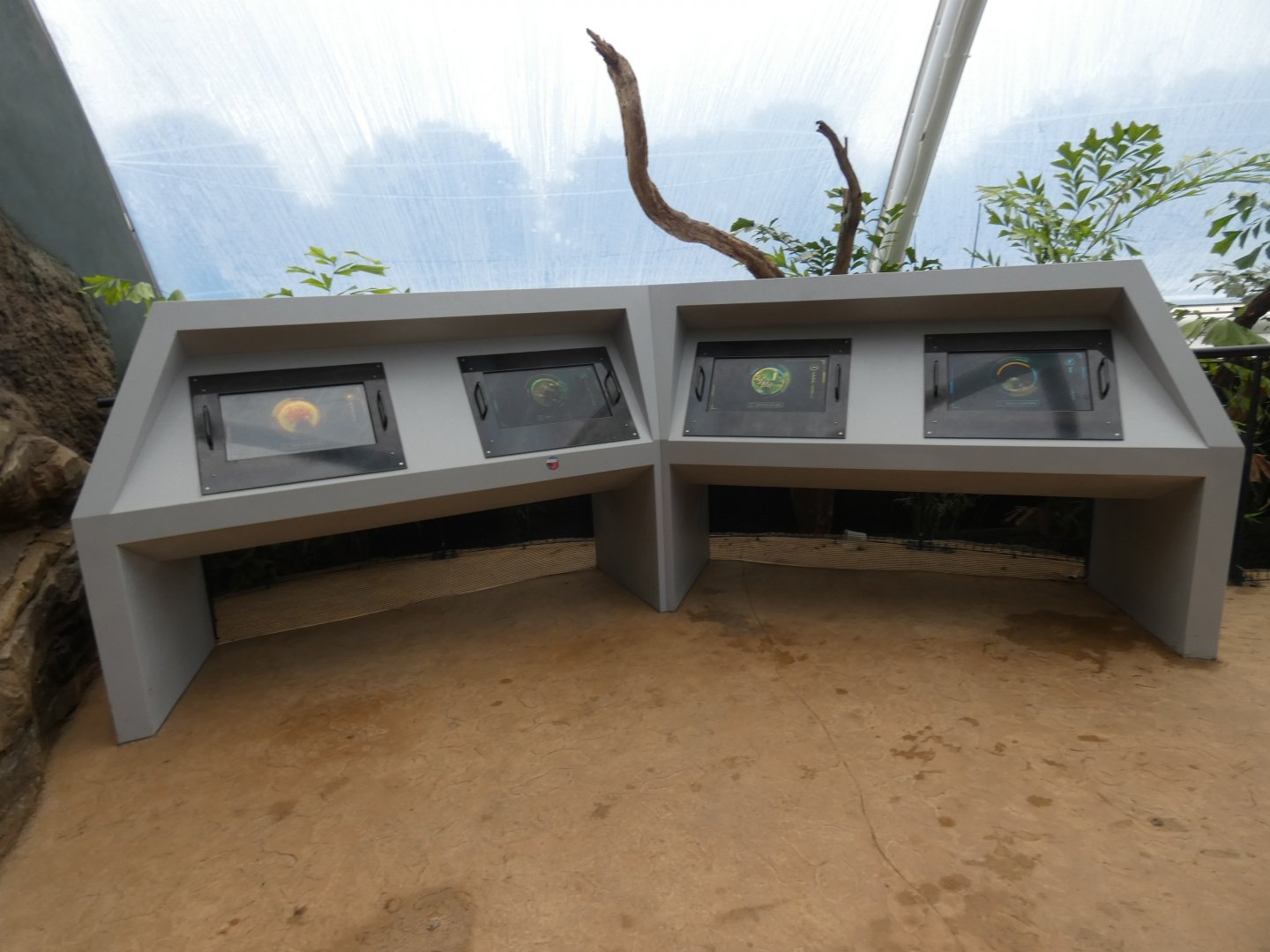 Educational computers in new Tropical House