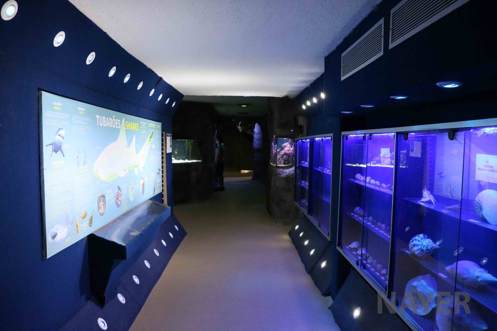 Educational corridor, April 2016