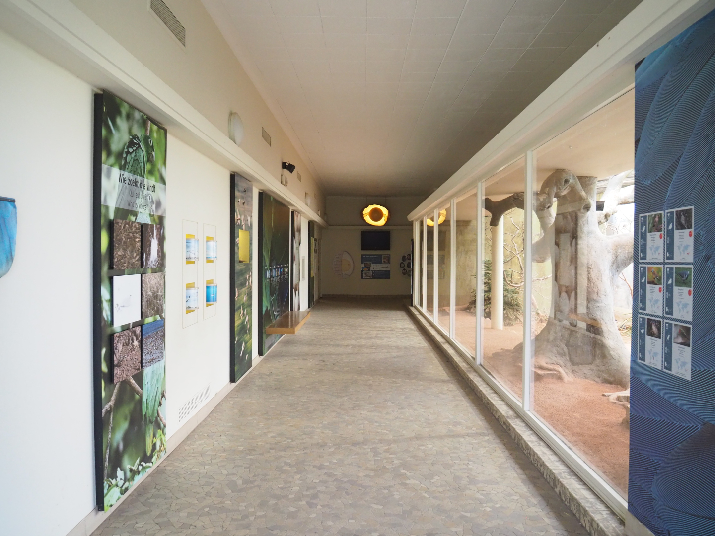 Educational corridor in the Bird House, with the Australian indoor aviary on the right side, 2022-03-16