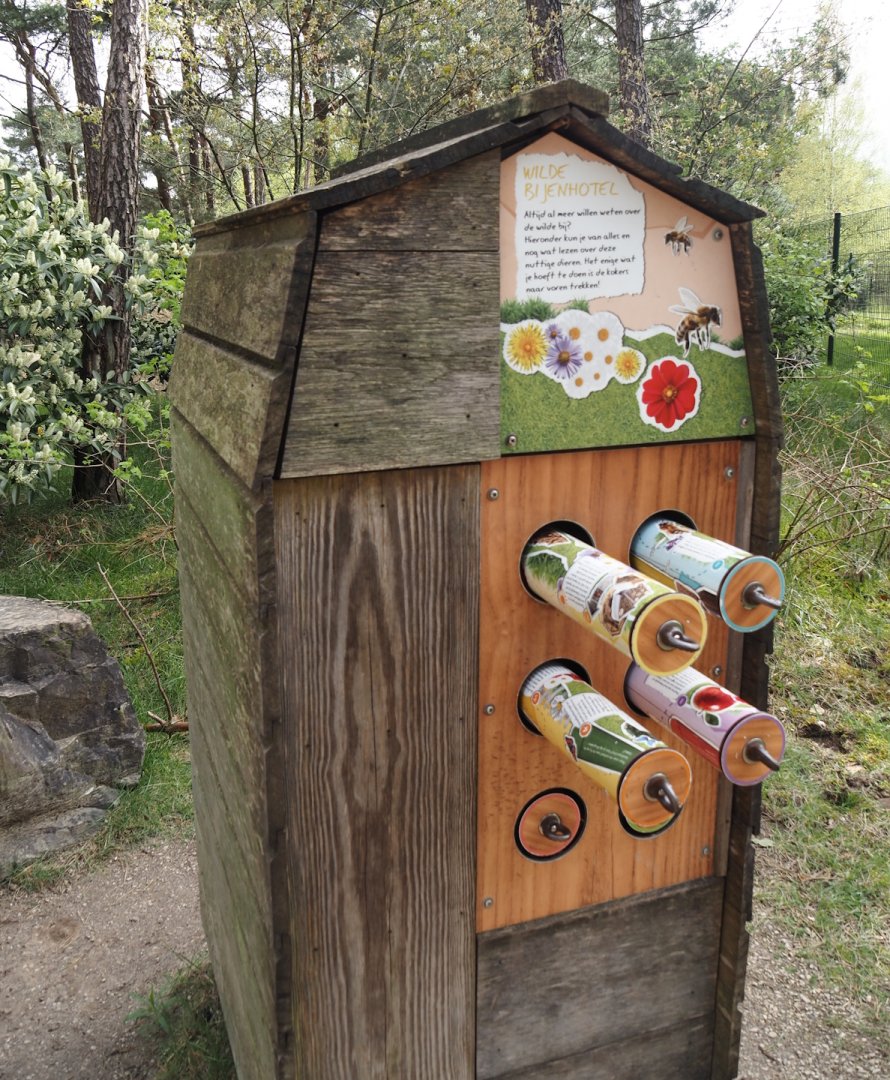 Educational display about insect hotels, 2024-04-06