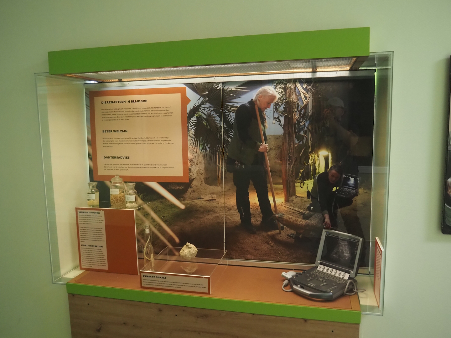 Educational display about the activities of zoo vets, 2024-06-30