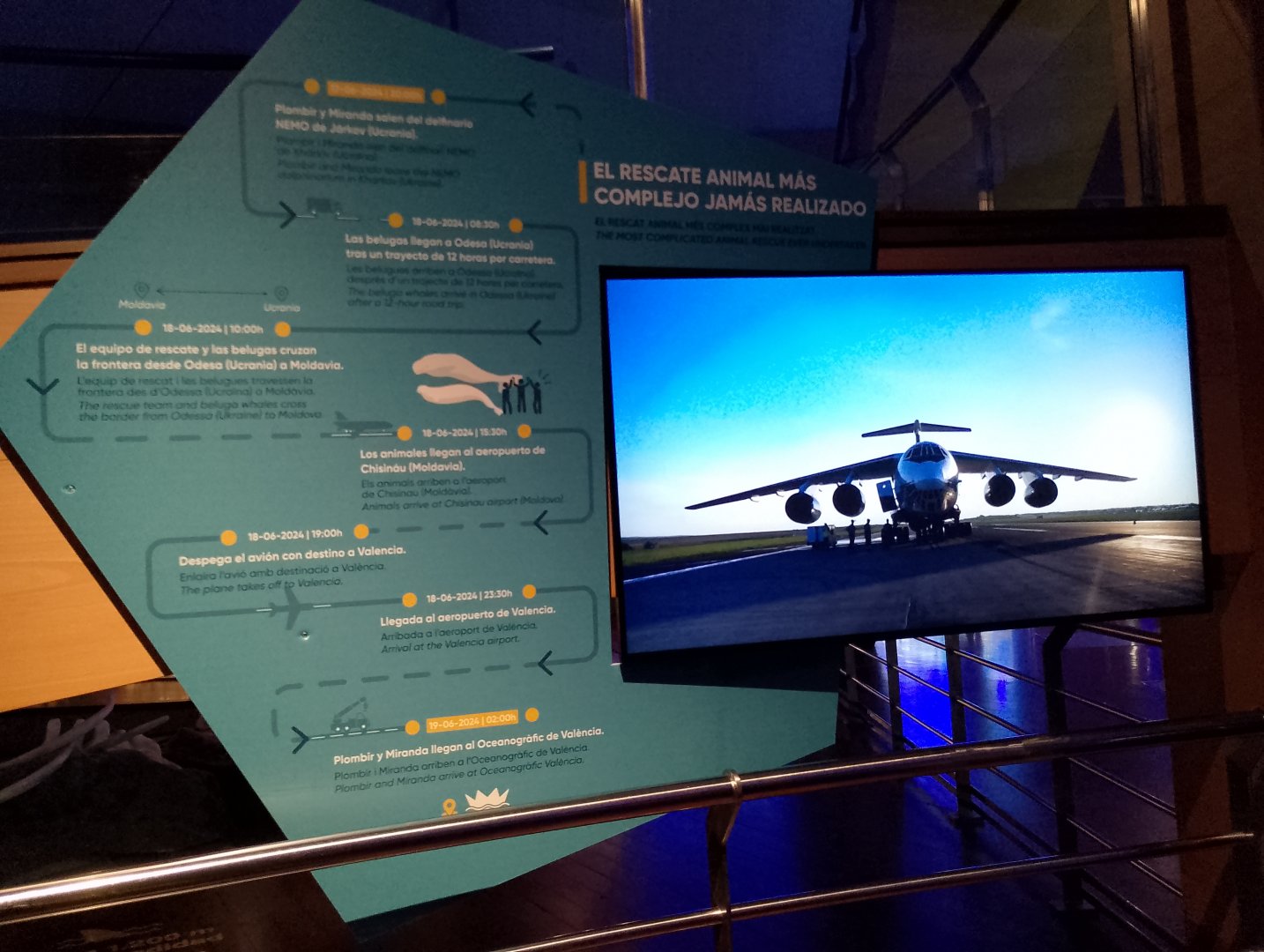 Educational display about the rescued belugas