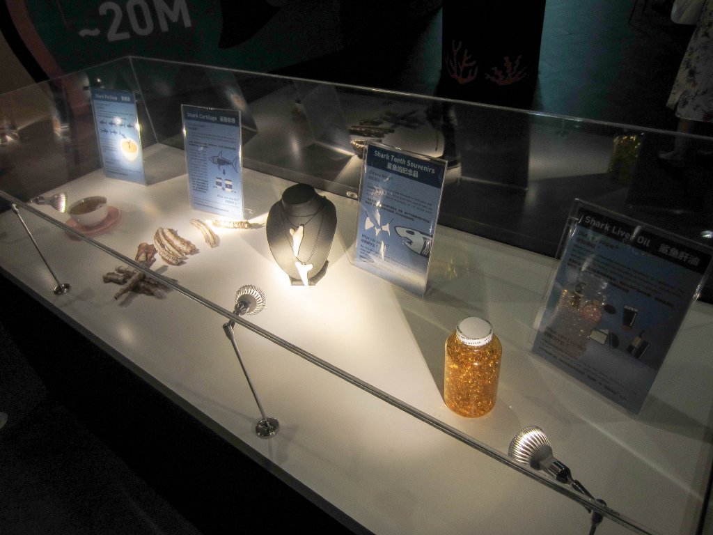 Educational Display - shark products