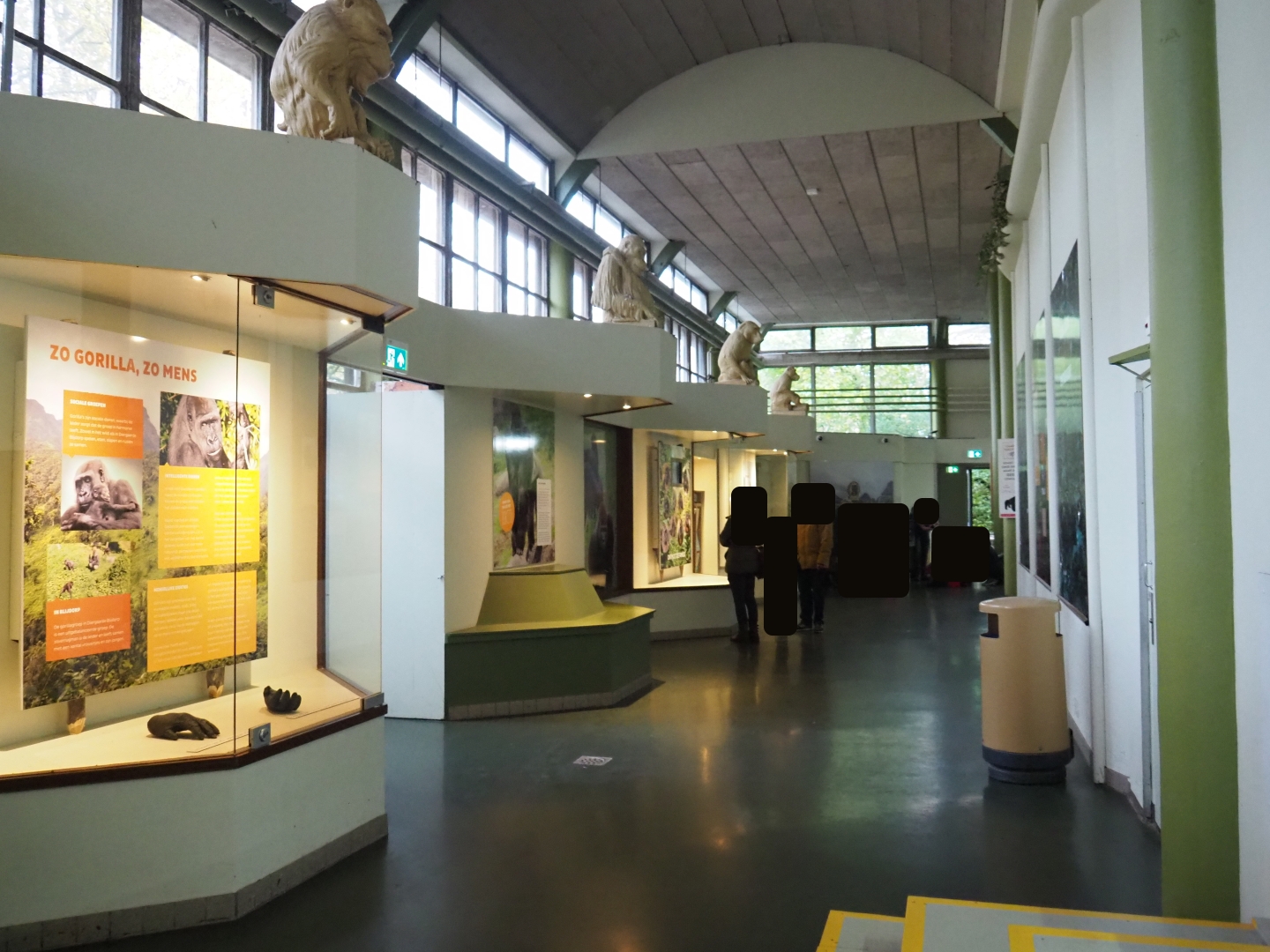 Educational displays in the ape wing (Nov 10th, 2018)