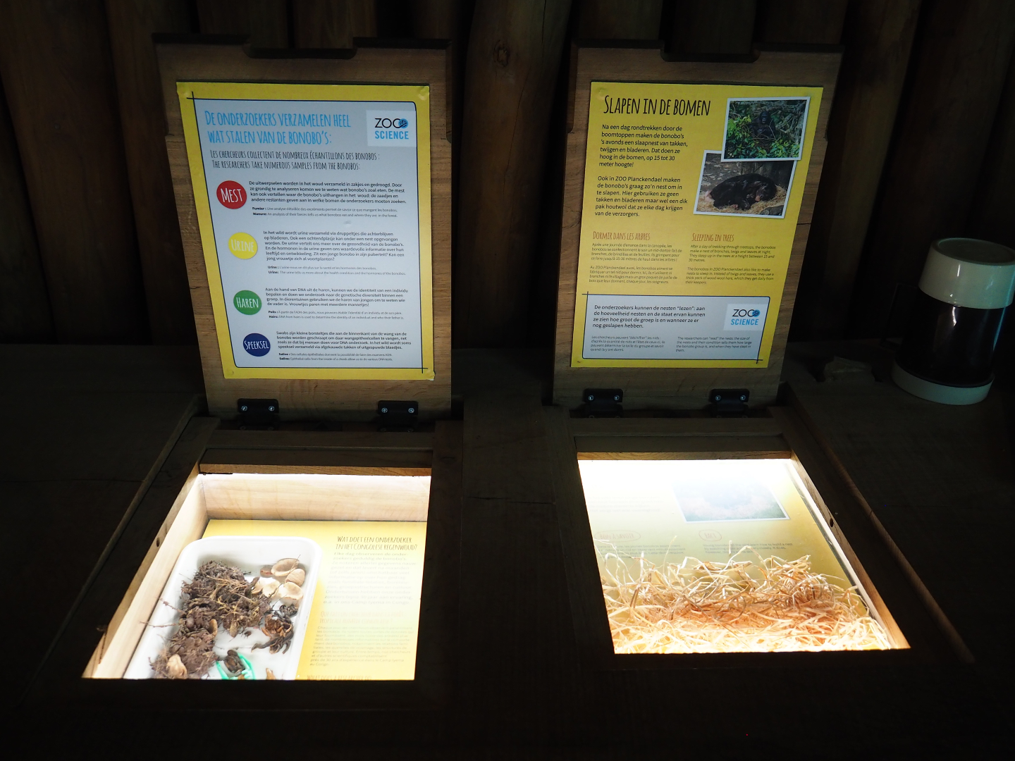 Educational displays on bonobo biology and bonobo research, 2020-07-21