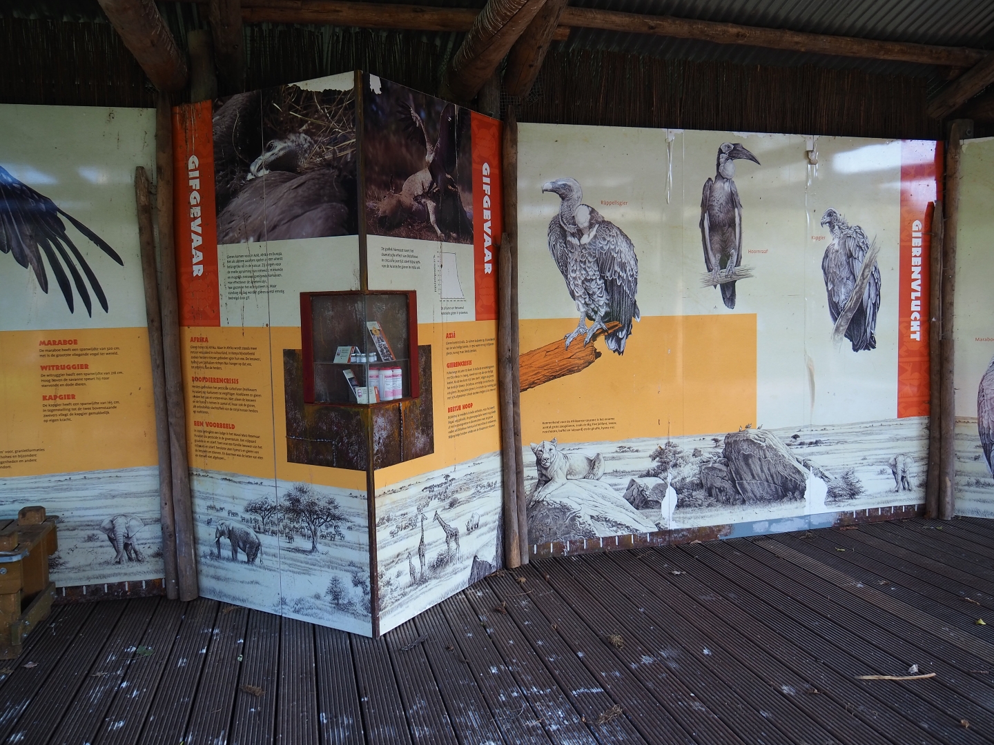 Educational displays on vultures (Nov 10th, 2018)
