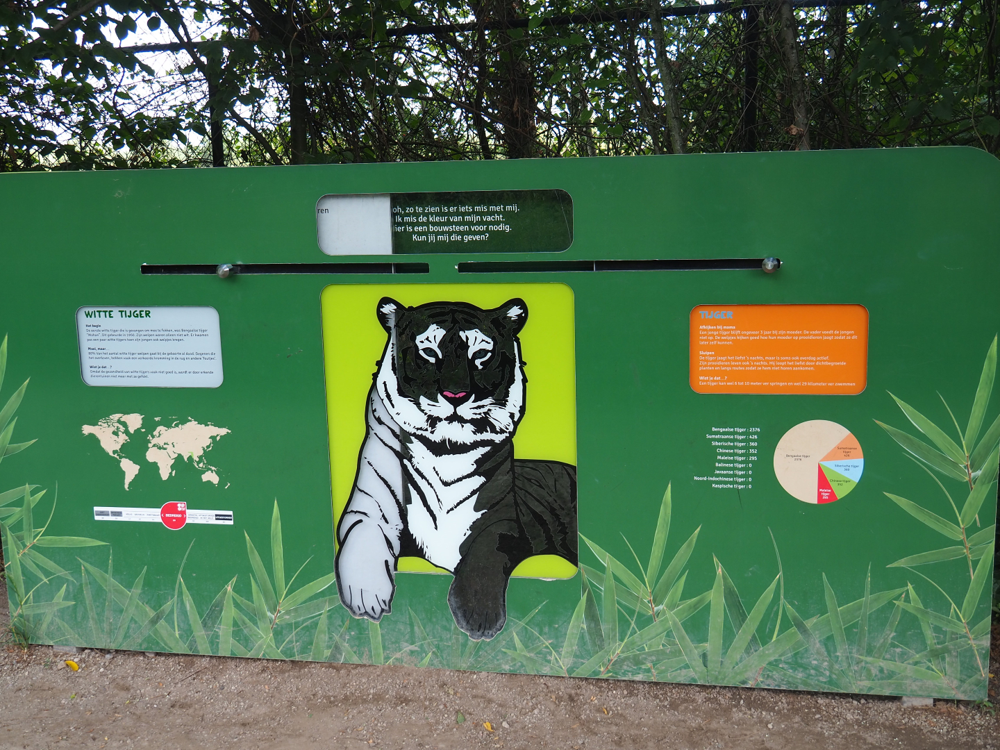 Educational displays tigers and white tigers, 2019-08-11