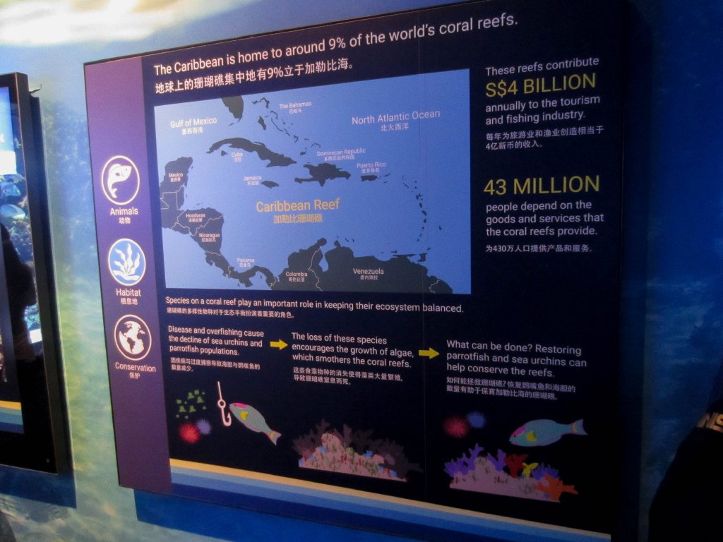 Educational graphics