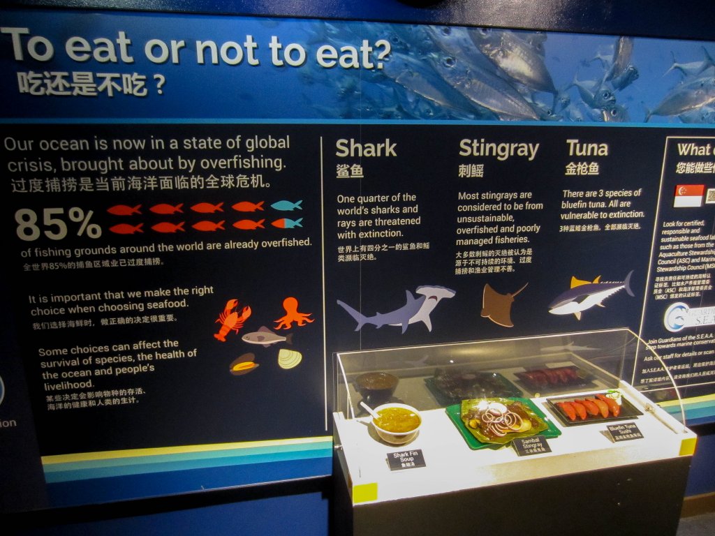 Educational graphics