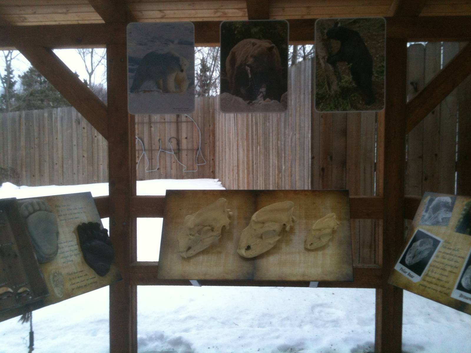 Educational Kiosk on Alaska's Native Bears