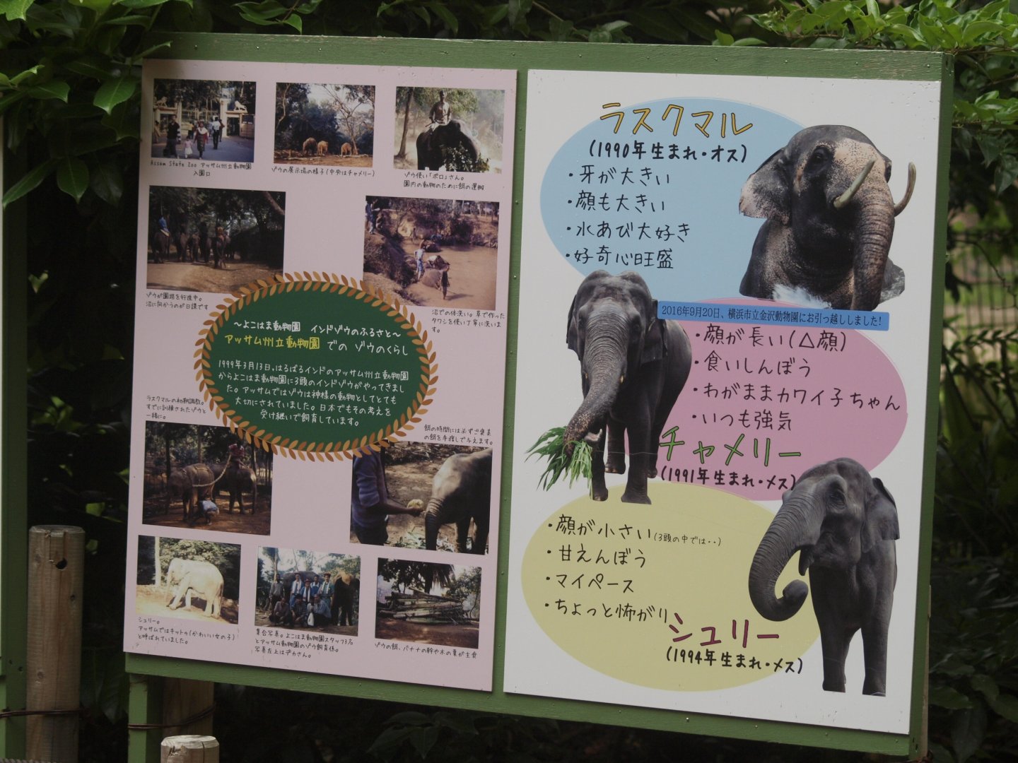 Educational material