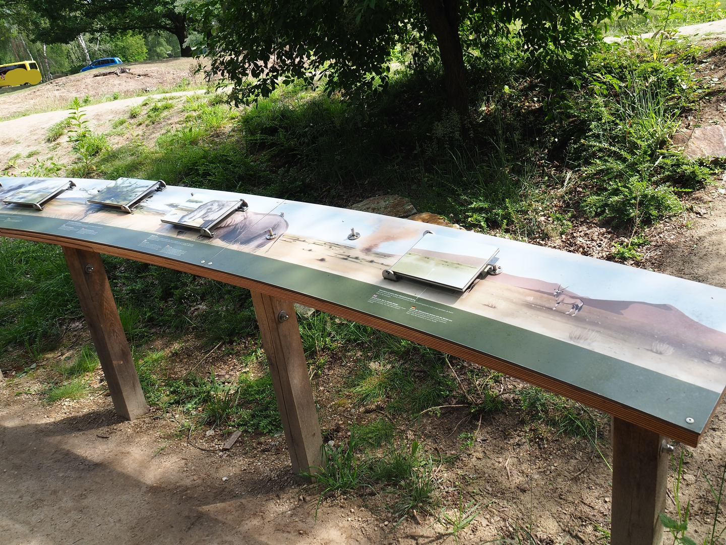 Educational signage about savanna species and ecosystems, 2022-06-12