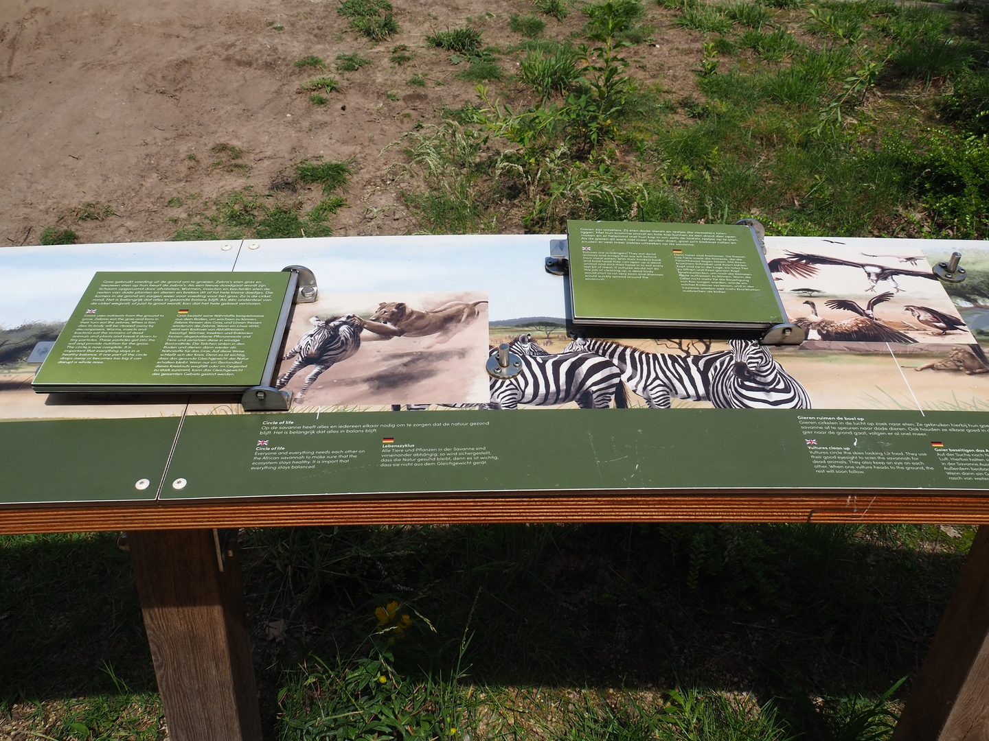 Educational signage about savanna species and ecosystems, 2022-06-12