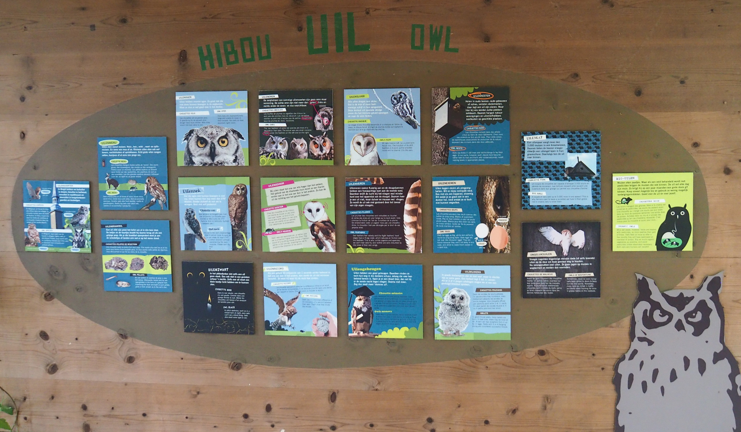 Educational signage on owl biology and ecology, 2020-08-15