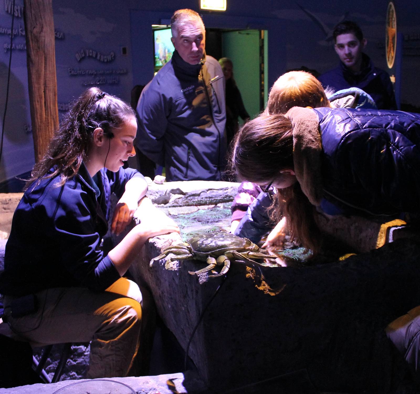 Educational touchpool