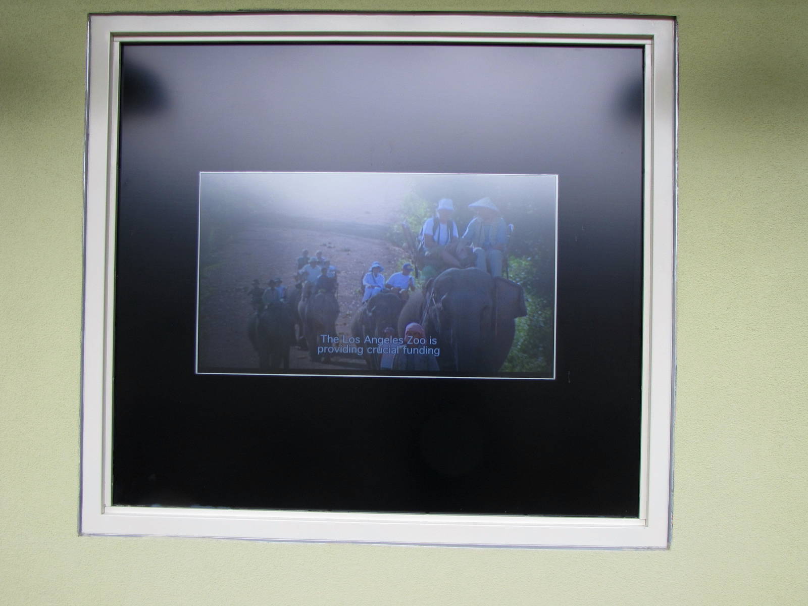 Educational Video - Elephants of Cambodia