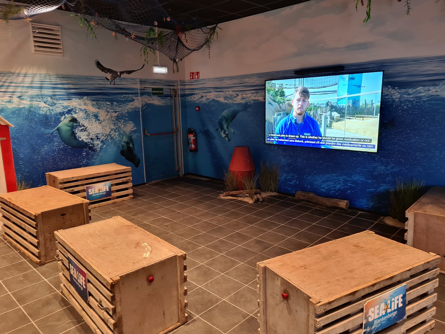 Educational video playing in seal education room