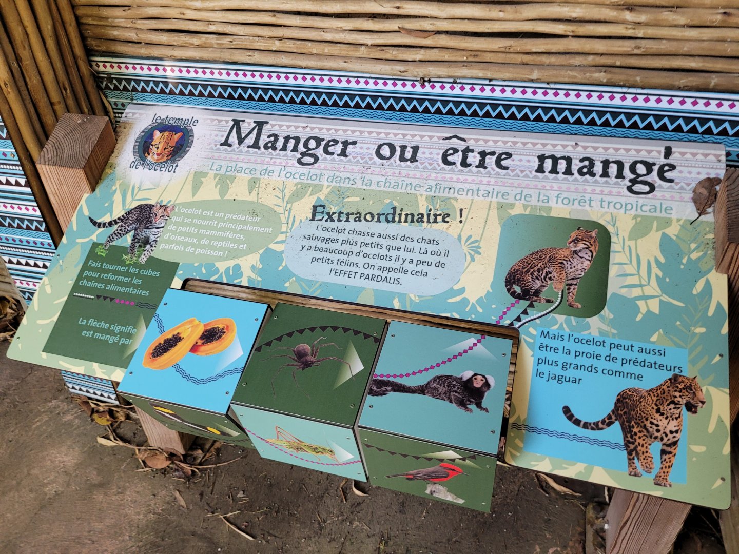 Educative display -Zoo d'Asson (2022)