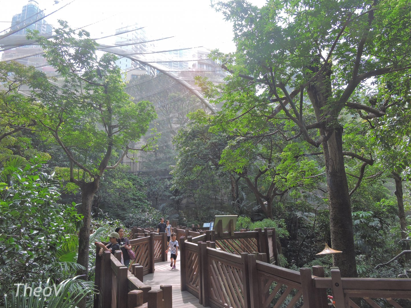 Edward Youde Aviary [2016]