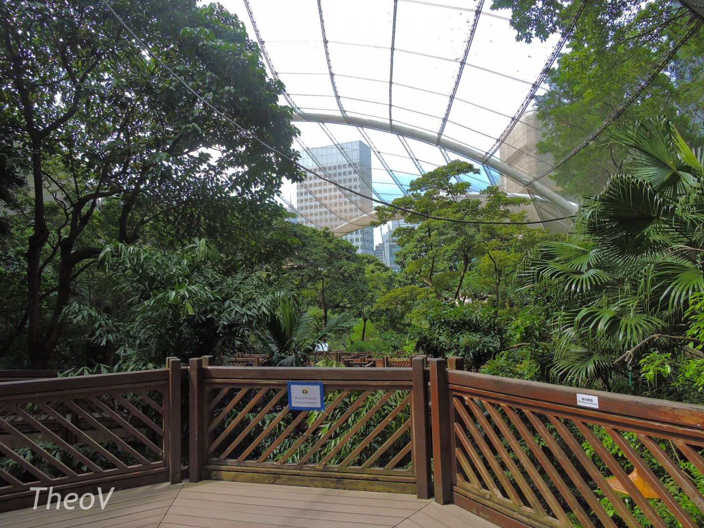 Edward Youde Aviary [2016]