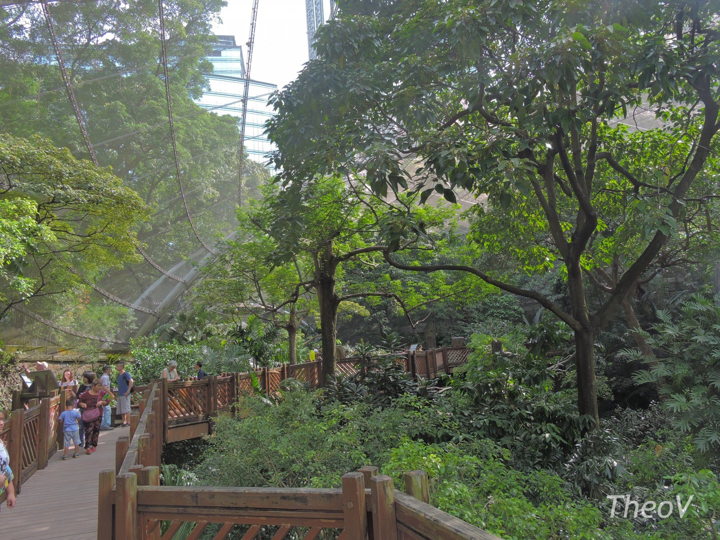 Edward Youde Aviary [2016]