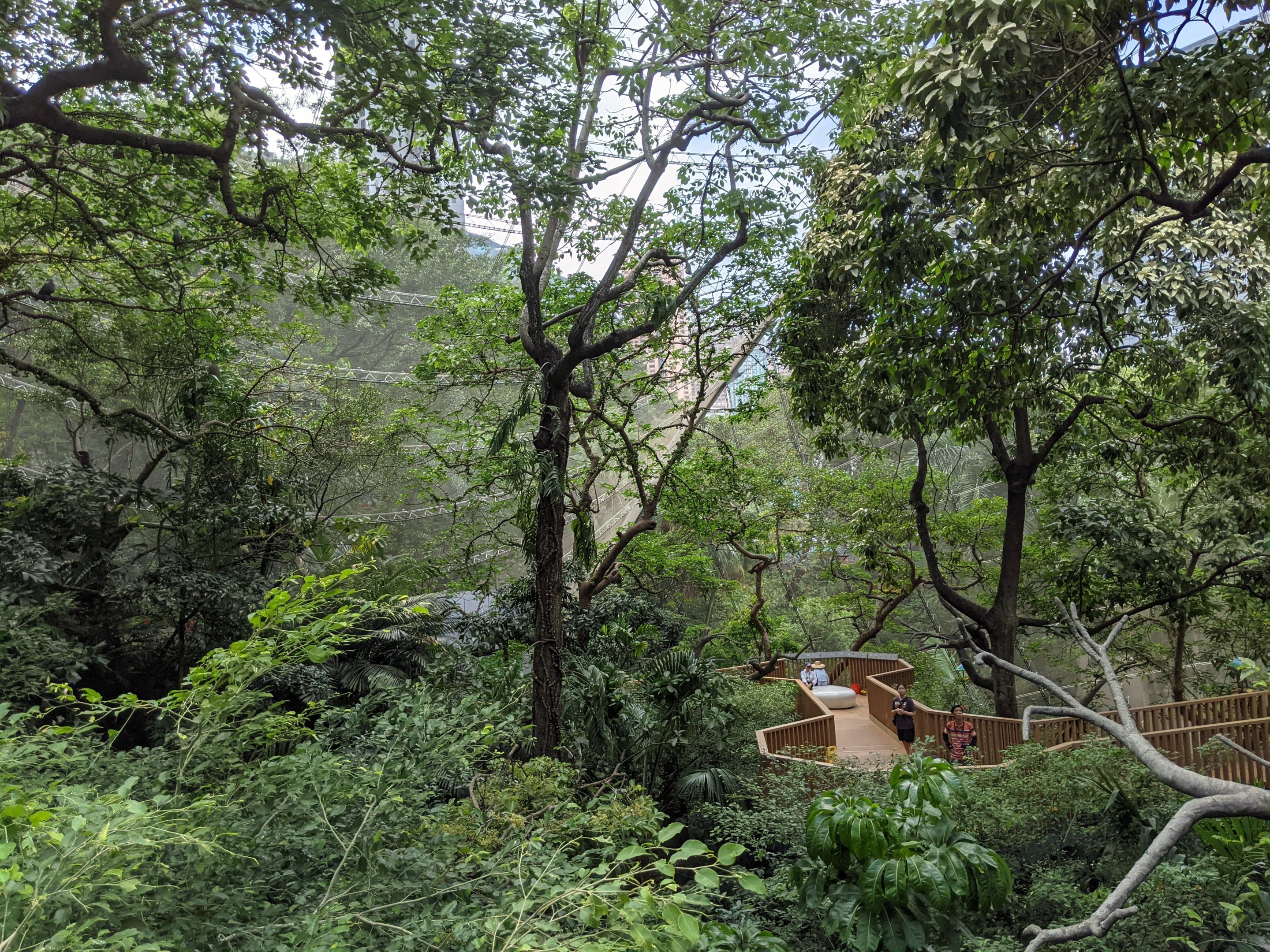 Edward Youde Aviary interior