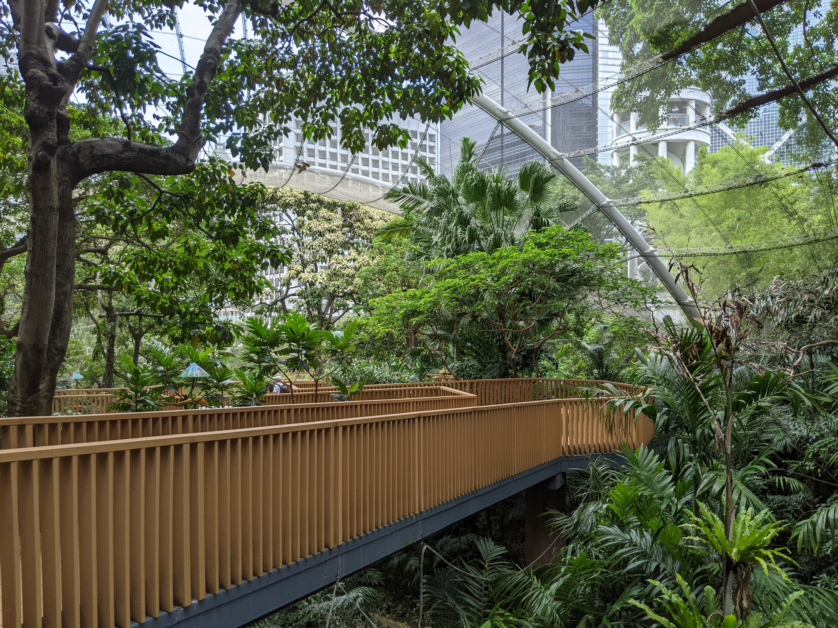 Edward Youde Aviary interior