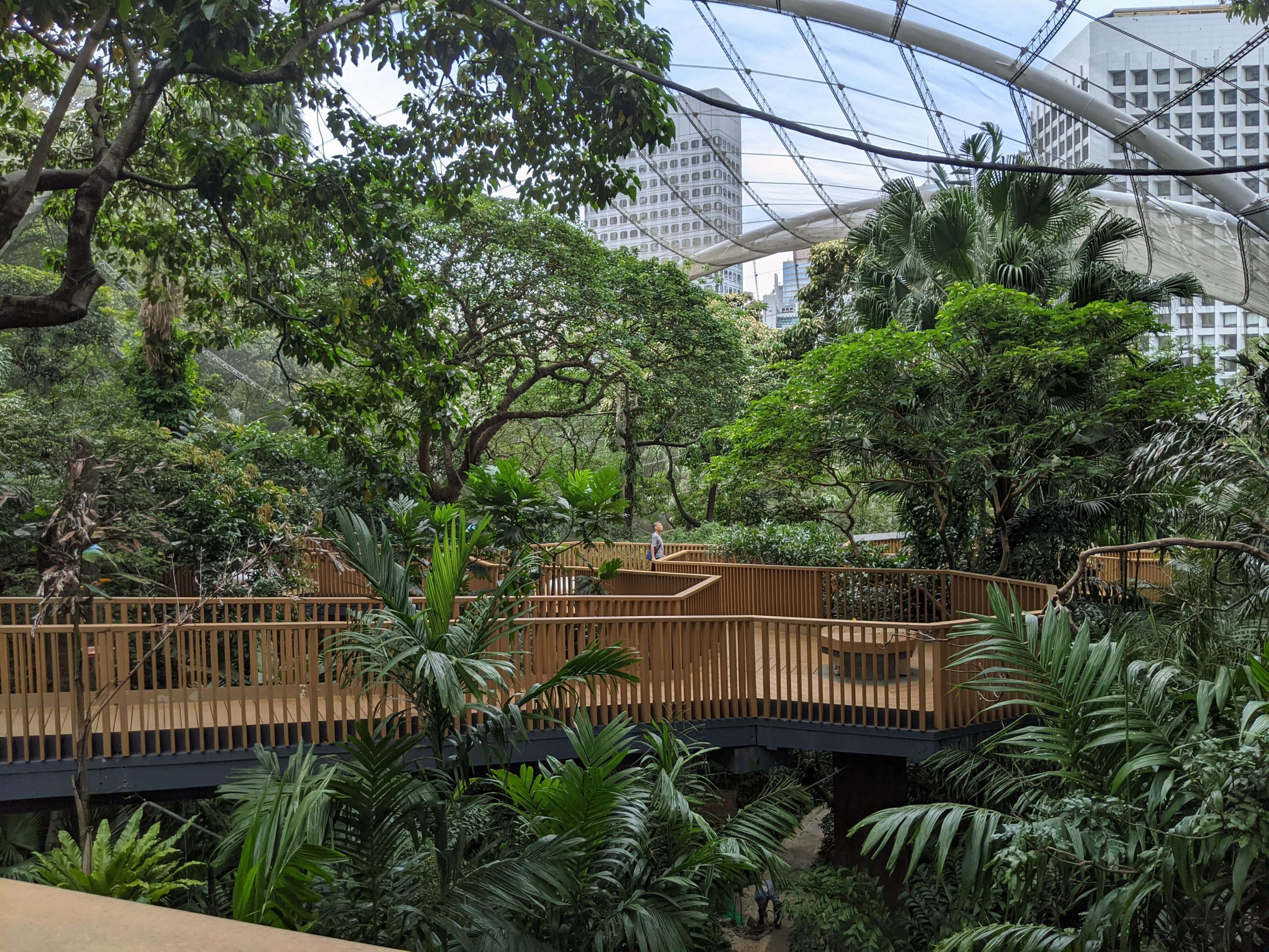 Edward Youde Aviary interior