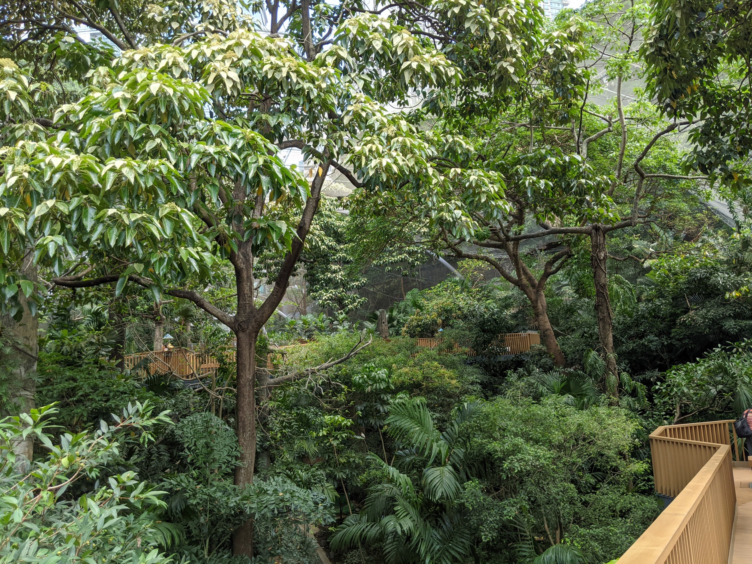 Edward Youde Aviary interior