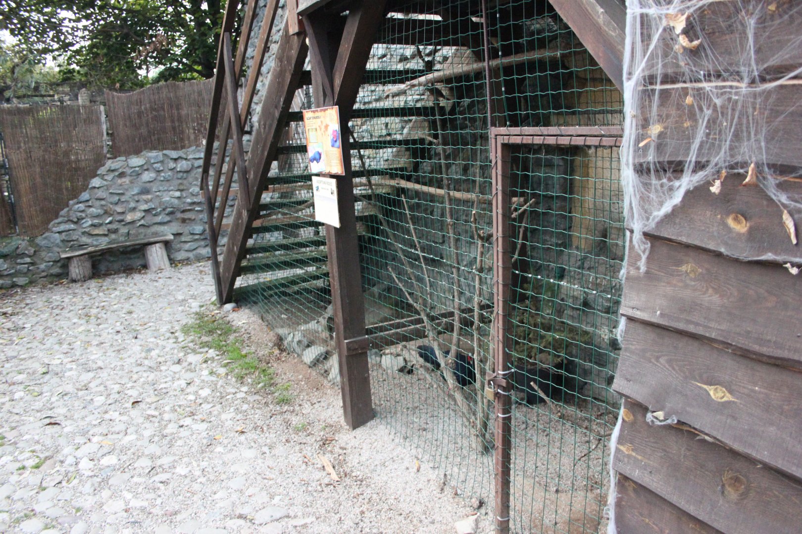 Edward's pheasant aviary