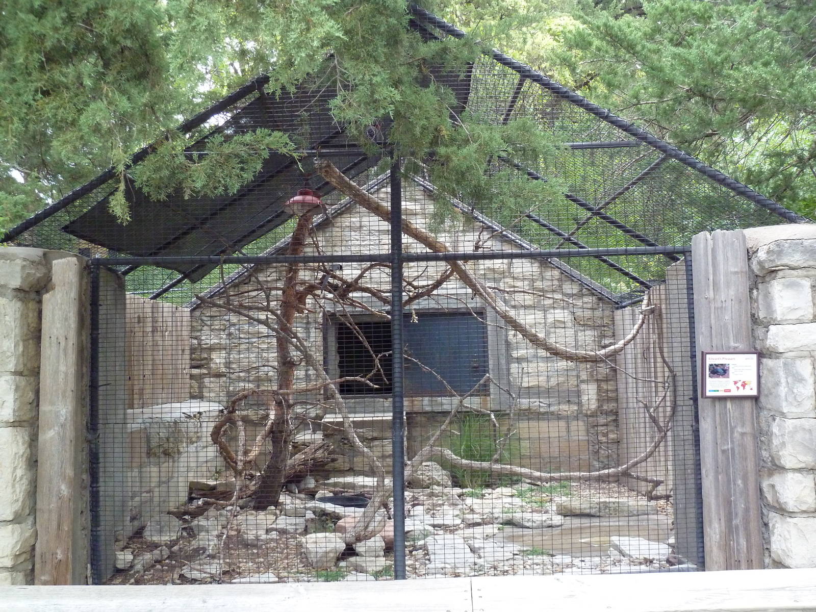 Edward's Pheasant/Red-Billed Blue Magpie Exhibit