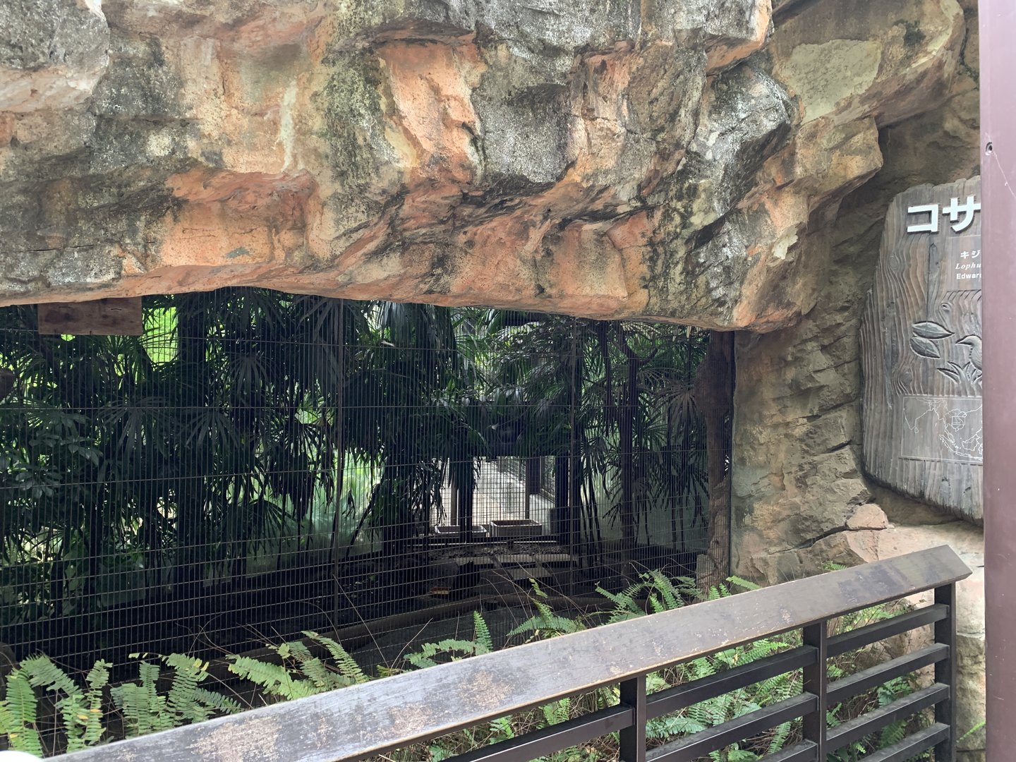 Edward’s Pheasant Viewing