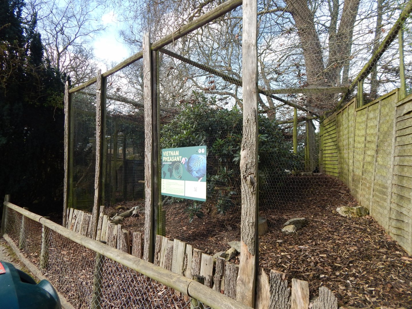 Edwards's pheasant aviary 040324