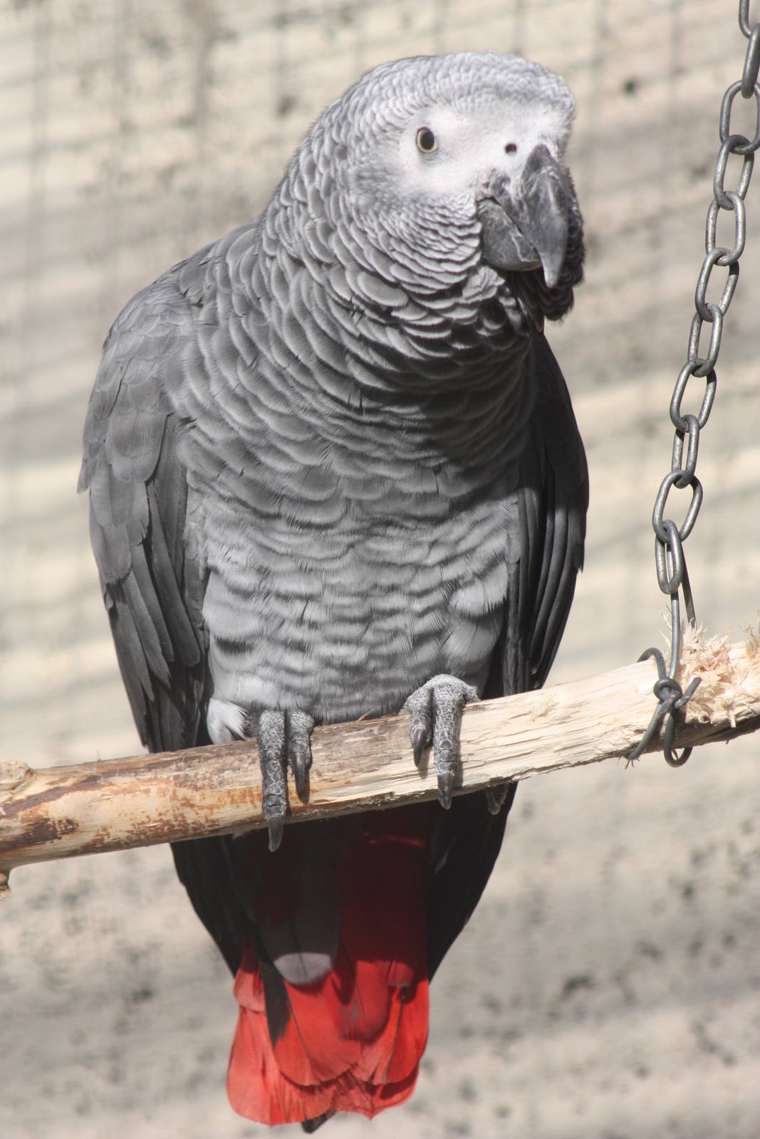 Eek, is that Charlie or Charlie 2? 23rd October 2014